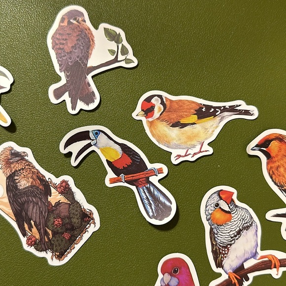 NEW Set of 14 colorful birds stickers NWOT - Picture 5 of 6